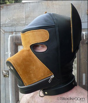 Leather Dog Hood